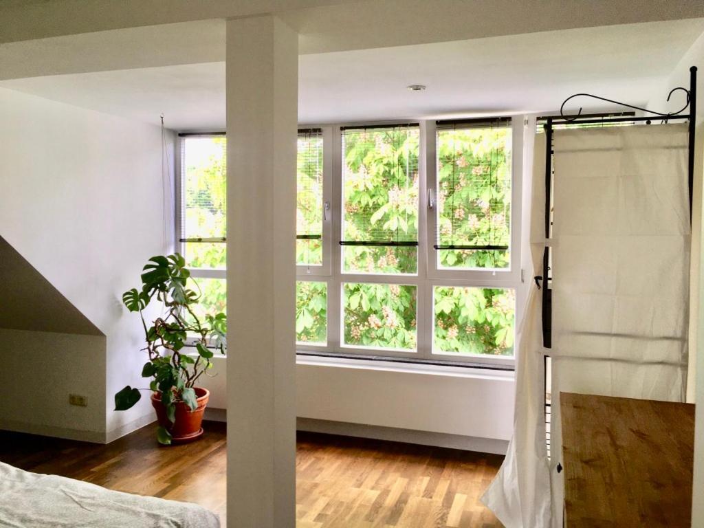 Maisonette Wohnung Suedstadtvilla 아이제나흐 외부 사진